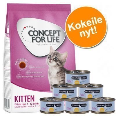 Kitten-kokeilupakkaus: 400g Concept for Life + Cosma Nature - setti 1: 6 x 70 g Cosma Nature