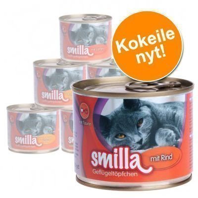 Kokeilupakkaus: Smilla-siipikarjapata