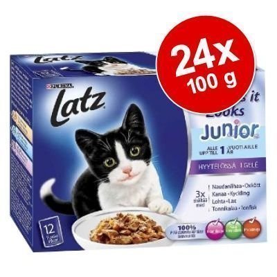 Latz "As good as it looks" Junior -säästöpakkaus 24 x 100 g - lajitelma