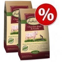 Lukullus-säästöpakkaus kylmäpuristettua koiranruokaa - 2 x 15 kg Charolais- Beef