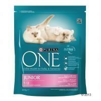 Purina ONE Junior - säästöpakkaus: 6 x 800 g