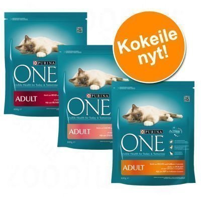 Purina One Whole Grain Adult -valikoima 3 x 800 g - Beef