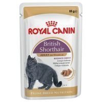 Royal Canin Breed British Shorthair - 12 x 85 g