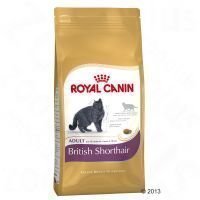 Royal Canin British Shorthair Adult - säästöpakkaus: 2 x 10 kg