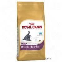 Royal Canin British Shorthair Kitten - säästöpakkaus 2 x 10 kg