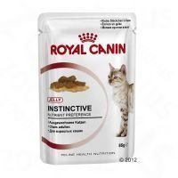 Royal Canin Instinctive in Jelly - 12 x 85 g