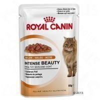 Royal Canin Intense Beauty in Jelly - 12 x 85 g