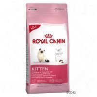 Royal Canin Kitten 36 - säästöpakkaus: 2 x 10 kg