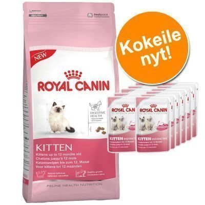 Royal Canin Kitten -kokeilupakkaus - Kitten Sterilised alle 12 kk vanhoille kissanpennuille (2 kg)