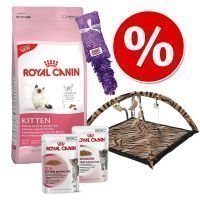 Royal Canin Kitten -paketti I - 27-osainen