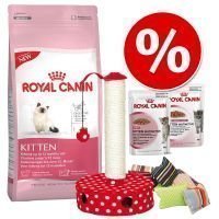 Royal Canin Kitten -paketti III - 27-osainen