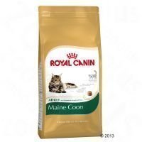 Royal Canin Maine Coon Adult - säästöpakkaus 2 x 10 kg