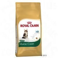 Royal Canin Maine Coon Kitten - 10 kg