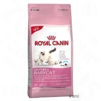 Royal Canin Mother & Babycat - säästöpakkaus: 2 x 4 kg