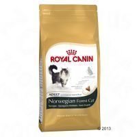 Royal Canin Norwegian Forest Cat Adult - 10 kg