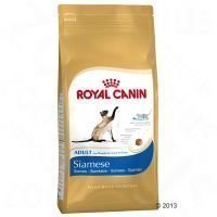 Royal Canin Siamese Adult - säästöpakkaus: 2 x 10 kg