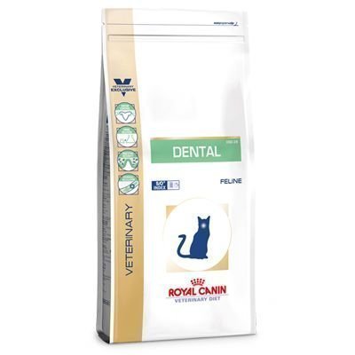 Royal Canin Veterinary Diet - Dental DSO 29 - 1