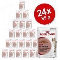 Royal Canin -säästöpakkaus 24 x 85 g - Ageing +12 in Gravy