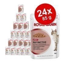 Royal Canin -säästöpakkaus 24 x 85 g: Jelly + Gravy - Ageing +12 in Gravy + Ageing +12 in Jelly